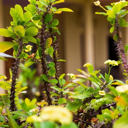 Pondok Guru Bakti Cottage Сенару Екстер'єр фото