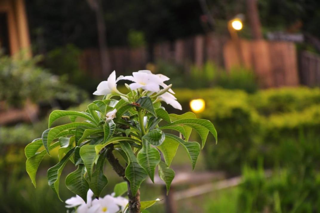 Pondok Guru Bakti Cottage Сенару Екстер'єр фото